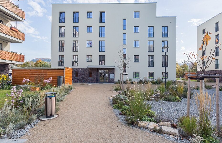 Quartiersweg der Gartenstadt 2.0 – Quartier Immergrün in Jena mit mehrgeschossigen Wohngebäuden, Bepflanzung und Aufenthaltsflächen